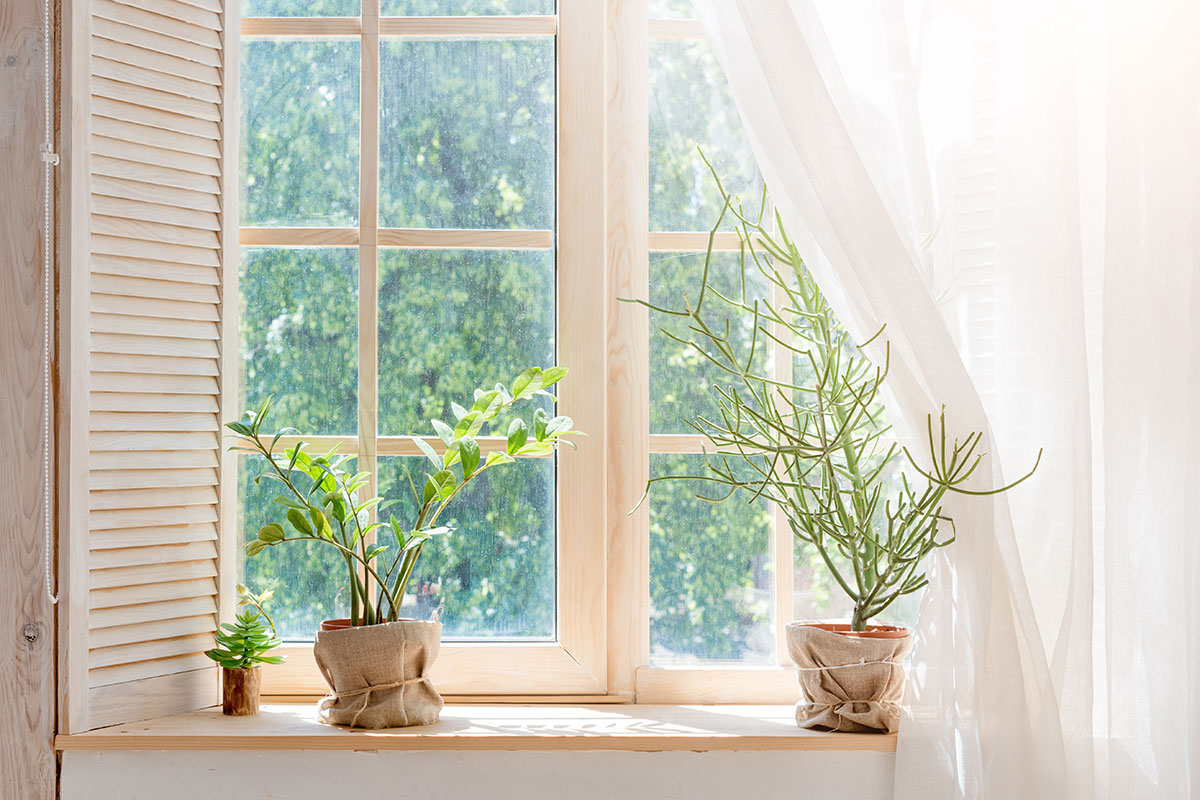 sash windows in barnet